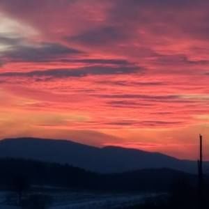 Meet your Posher, Carole